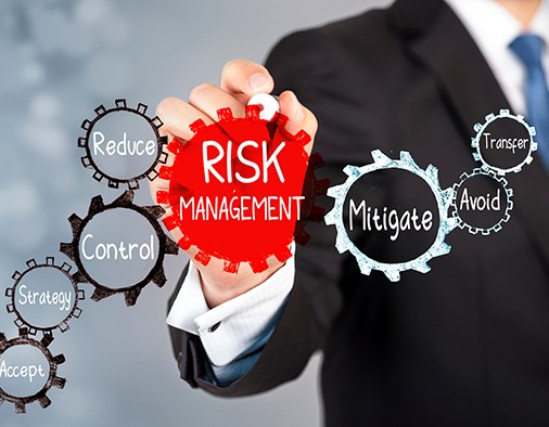 Risk Management Professional (RMP®)